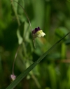 IMGP2404-1024.jpg