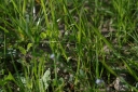 IMGP2406-1024.jpg