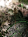 IMGP2414-1024.jpg