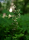 IMGP2415-1024.jpg