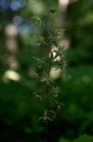 IMGP2417-1024.jpg