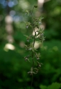 IMGP2418-1024.jpg