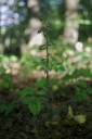 IMGP2419-1024.jpg