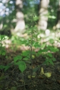 IMGP2421-1024.jpg