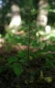 IMGP2422-1024.jpg