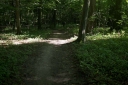 IMGP2426-1024.jpg