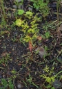 IMGP2455-1024.jpg