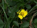 IMGP2478-1024.jpg