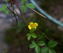 IMGP2490-1024.jpg