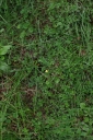 IMGP2492-1024.jpg