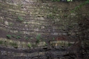 IMGP2511-1024.jpg