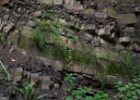 IMGP2512-1024.jpg