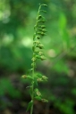 IMGP2189-1024.jpg