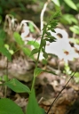 IMGP2195-1024.jpg