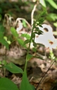 IMGP2196-1024.jpg