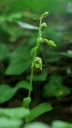 IMGP2197-1024.jpg