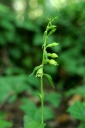 IMGP2204-1024.jpg
