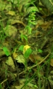 IMGP2211-1024.jpg