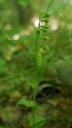 IMGP2213-1024.jpg