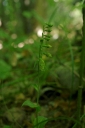IMGP2214-1024.jpg