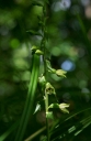 IMGP2215-1024.jpg