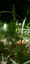 IMGP2216-1024.jpg