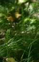 IMGP2217-1024.jpg