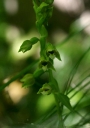 IMGP2218-1024.jpg