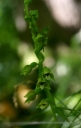 IMGP2219-1024.jpg
