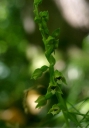 IMGP2221-1024.jpg