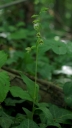 IMGP2222-1024.jpg