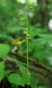 IMGP2223-1024.jpg