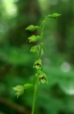 IMGP2224-1024.jpg