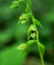 IMGP2226-1024.jpg
