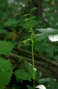 IMGP2229-1024.jpg