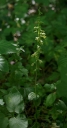 IMGP2235-1024.jpg