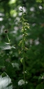 IMGP2238-1024.jpg