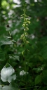 IMGP2239-1024.jpg