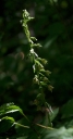IMGP2240-1024.jpg