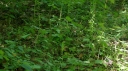 IMGP2247-1024.jpg