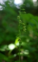 IMGP2248-1024.jpg