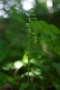 IMGP2249-1024.jpg