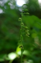 IMGP2250-1024.jpg