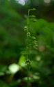 IMGP2251-1024.jpg