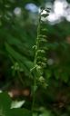 IMGP2252-1024.jpg