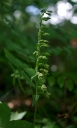 IMGP2253-1024.jpg
