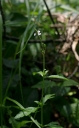 IMGP2268-1024.jpg