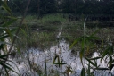 IMGP2276-1024.jpg