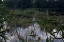 IMGP2277-1024.jpg