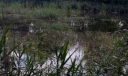 IMGP2278-1024.jpg